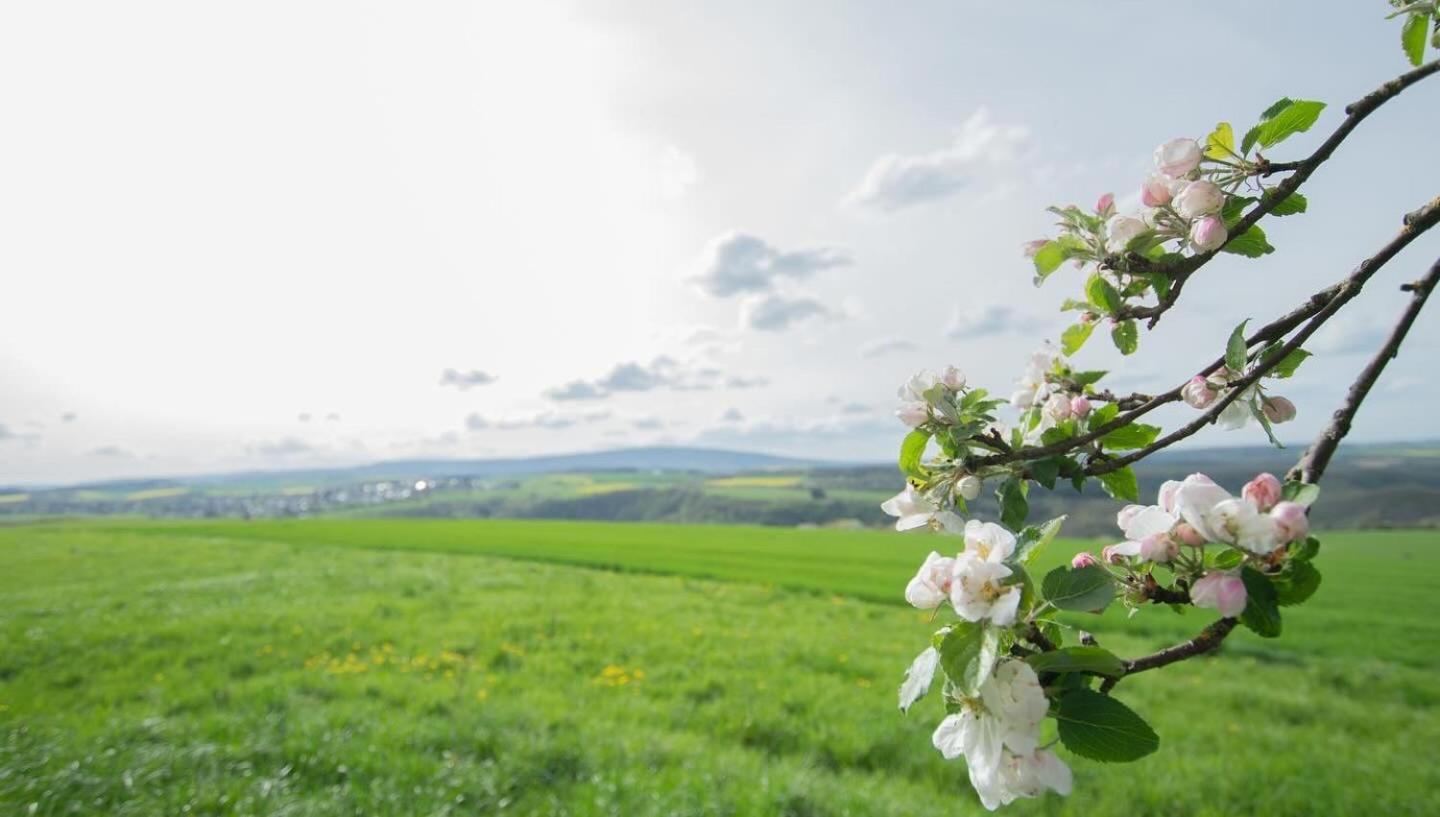 Moderne Wohnung Mit Panorama Schneppenbach エクステリア 写真